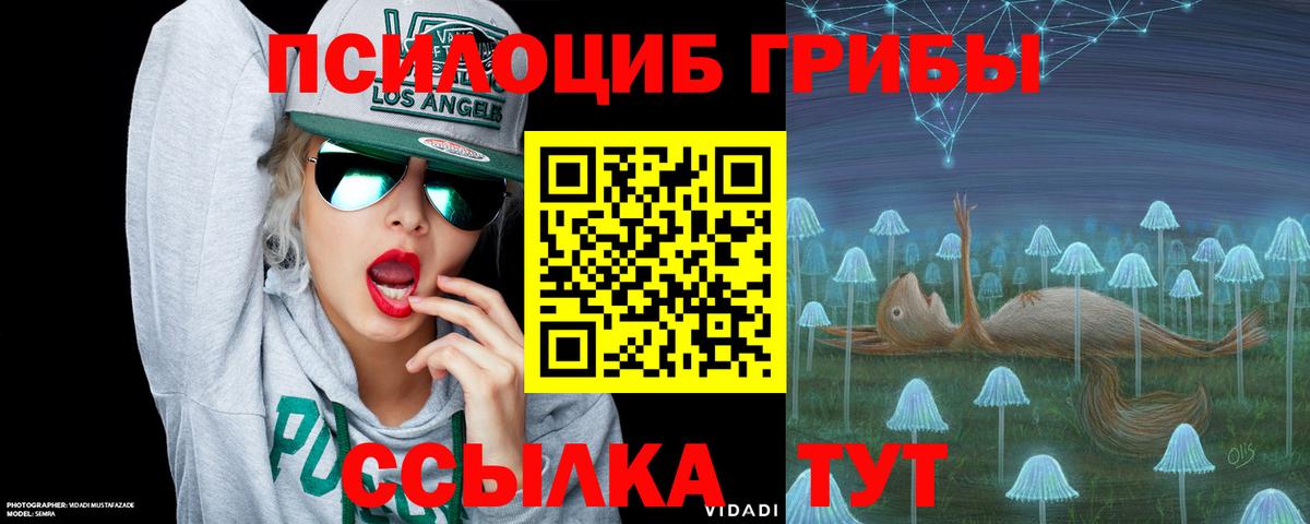 Соль-Илецк  Галлюциногенные грибы MAGIC MUSHROOMS  Галлюциногенные грибы мицелий  Вход с VPN 